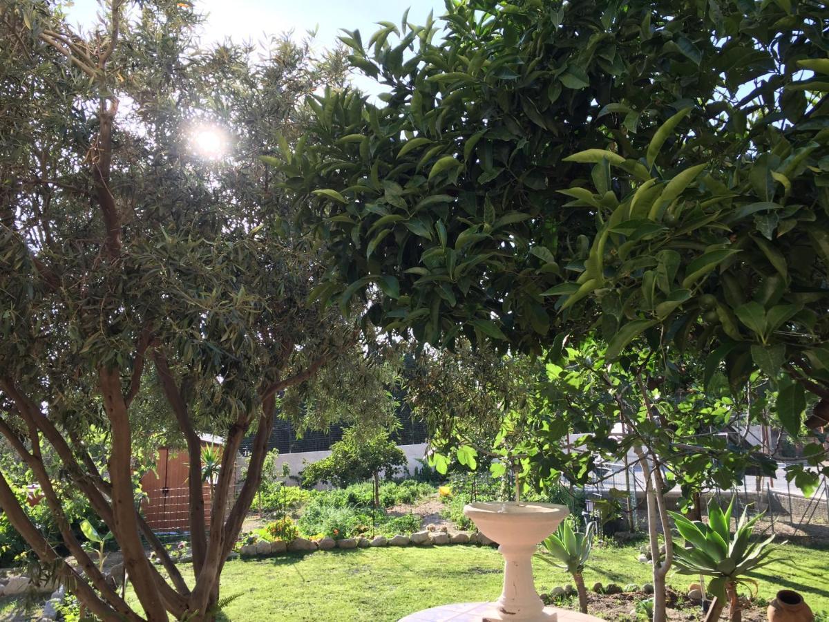 B&B Villa Magna Grecia Lazzaro Exterior foto